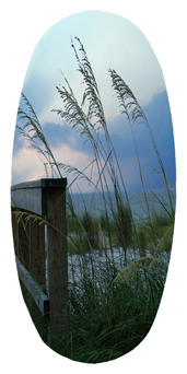 DASOV 125 Crossing Over (Boardwalk)